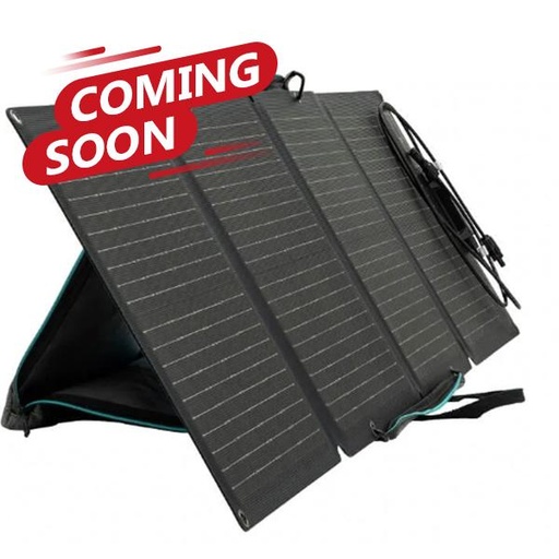 [0118006004P] EcoFlow Solar Panel 110W